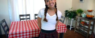 Babysitter Braids