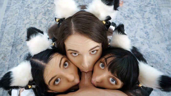 brooke johnson kitty cam lily thot im ready to join you guys